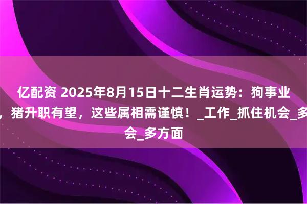 亿配资 2025年8月15日十二生肖运势：狗事业破局，猪升职有望，这些属相需谨慎！_工作_抓住机会_多方面