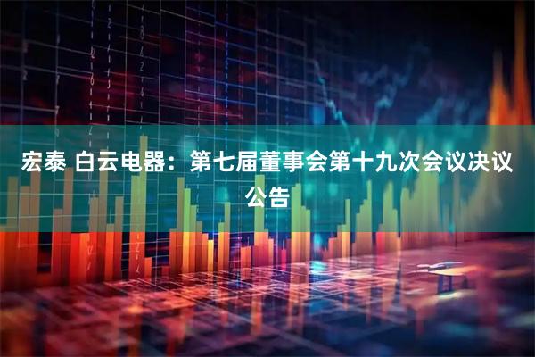 宏泰 白云电器：第七届董事会第十九次会议决议公告