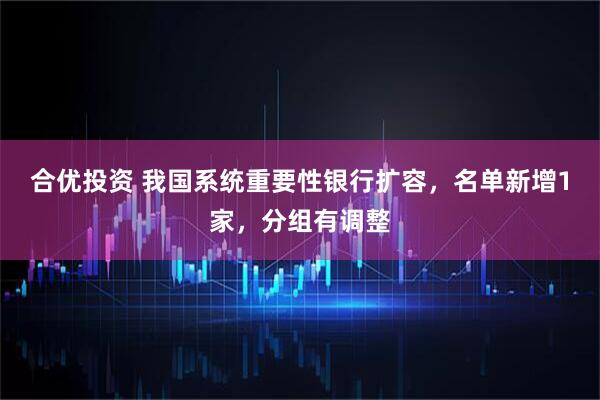 合优投资 我国系统重要性银行扩容,名单新增1家,分组有调整