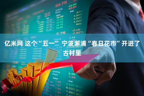 亿米网 这个“五一” 宁波澥浦“春日花市”开进了古村里