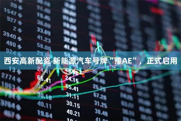 西安高新配资 新能源汽车号牌“豫AE”，正式启用