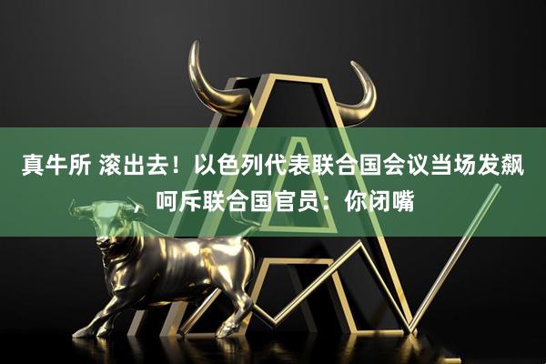 真牛所 滚出去！以色列代表联合国会议当场发飙，呵斥联合国官员：你闭嘴